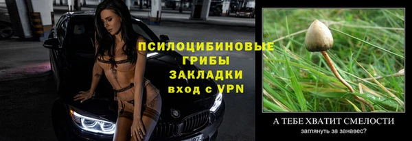 jwh Богородск
