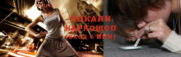 ГАЛЛЮЦИНОГЕННЫЕ ГРИБЫ Богданович
