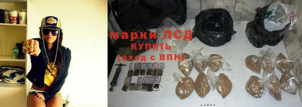 ГАЛЛЮЦИНОГЕННЫЕ ГРИБЫ Богданович