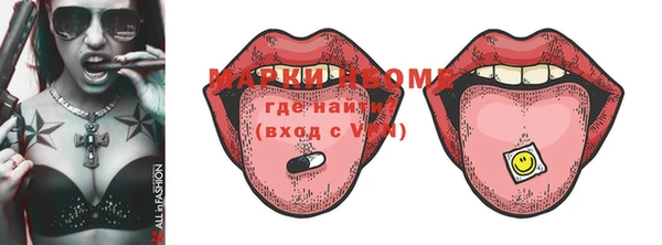 ГАЛЛЮЦИНОГЕННЫЕ ГРИБЫ Богданович