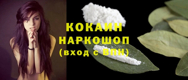 ГАЛЛЮЦИНОГЕННЫЕ ГРИБЫ Богданович