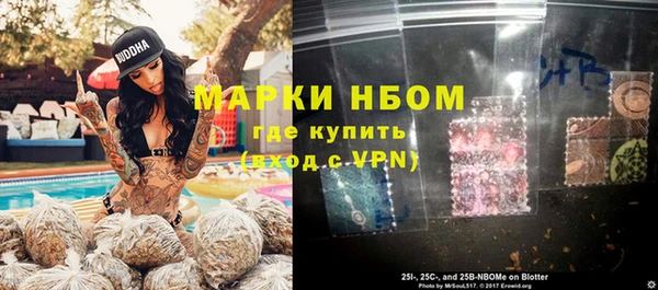 ГАЛЛЮЦИНОГЕННЫЕ ГРИБЫ Богданович