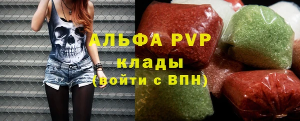 ГАЛЛЮЦИНОГЕННЫЕ ГРИБЫ Богданович