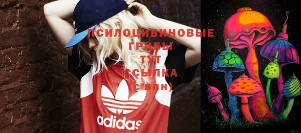 jwh Богородск