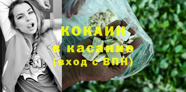 ГАЛЛЮЦИНОГЕННЫЕ ГРИБЫ Богданович