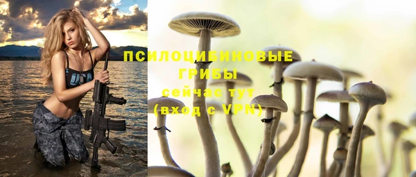 jwh Богородск
